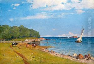 Coastal Motif