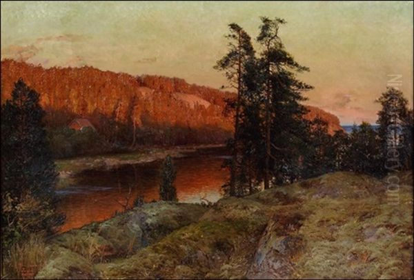Ilta-aurinko Kallioilla - view 1