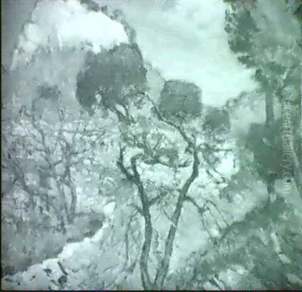 Montagne Rouge - view 1