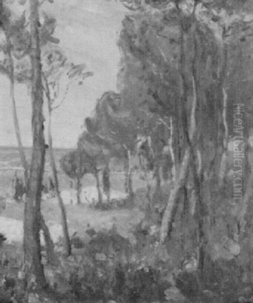 Trees By The Coast - view 1