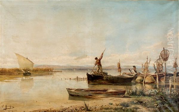 La Albufera - view 1