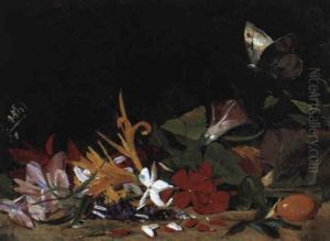 Blumen Mit Schmetterling