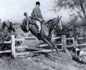 Over The Fence