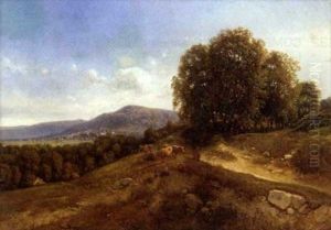 Vaches Sur Les Collines Vaches Sur Les Collines