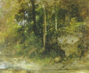 Sous-bois A Cernay Sous-bois A Cernay