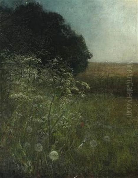 Landscape With Green Bushes And Dandelion Seed Heads - view 1