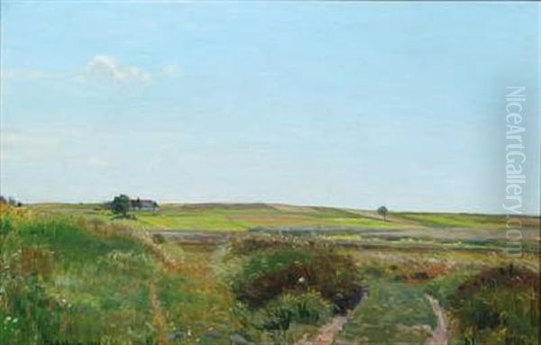 Danish Summer Landscape With Blue Sky - view 1
