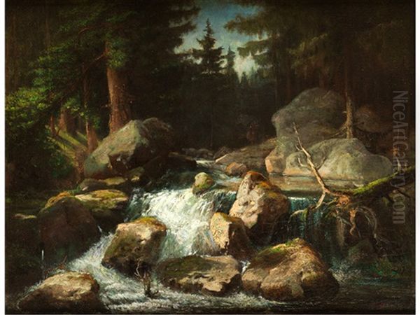 Wildbach - view 1