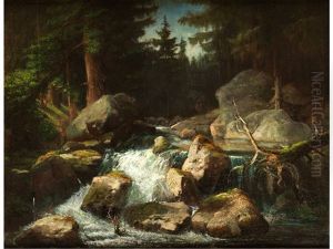 Wildbach Wildbach