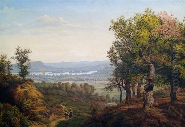 Blick Vom Taunus Auf Den Rheingau - view 1