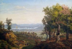 Blick Vom Taunus Auf Den Rheingau