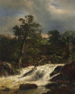 Eiche Am Wildwasser