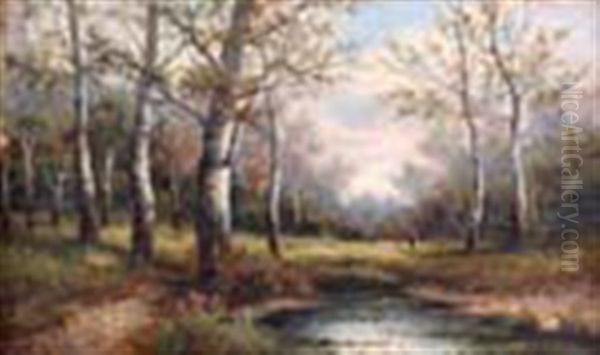 Forest Landscape - view 1