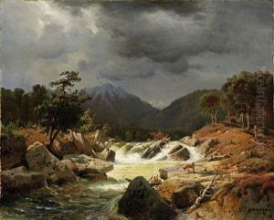 Norwegische Landschaft Mit Fuchs An Einem Wildbach