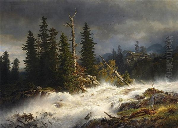 Wildwasser In Norwegischer Waldlandschaft - view 1
