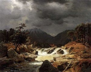 Norwegischer Bach Mit Kleinem Wasserfall Und Fuchs