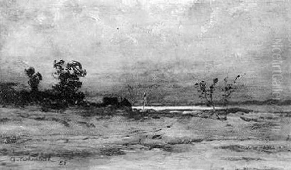 Weite Dunenlandschaft - view 1