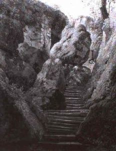 Waldschlucht Mit Treppenstufen Zwischen Bemoosten Felsen by Andreas Achenbach