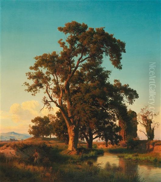 A Majestic Tree In The Evening Light - view 1