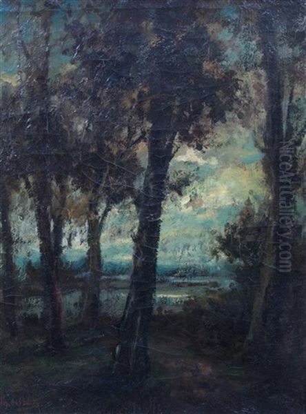 Landscape - view 1
