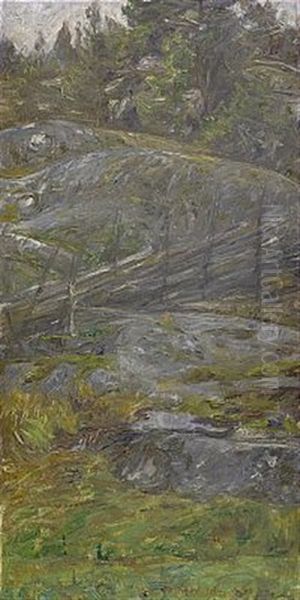 Skogsinterior Fran Morotsvik - Orno - view 1