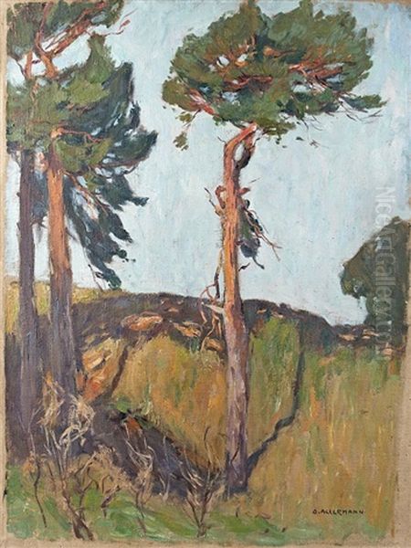 Sunlit Pines - view 1