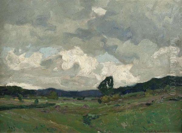 Wiesenlandschaft - view 1