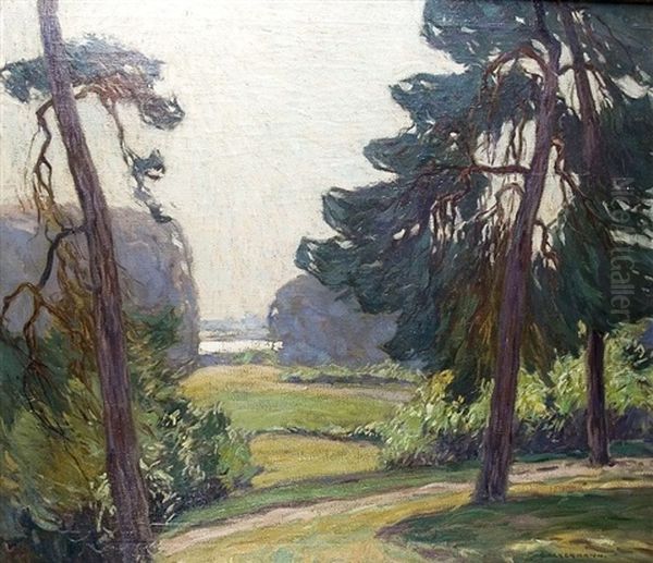 Sonnige Landschaft - view 1