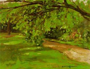 Sommerlicher Garten by Otto Ackermann