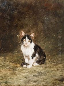 Schwarz-weisses, Junges Katzchen by Julius Adam the Younger
