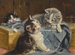 Drei Katzchen Auf Blauer Decke by Julius Adam the Younger