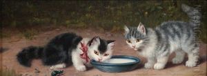 Zwei Katzenkinder An Der Milchschussel