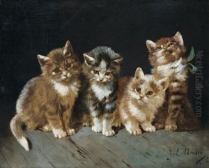 Chatons Chatons