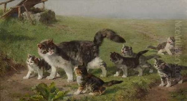 Katzenmutter Mit Ihren Jungen Auf Der Wiese - view 1