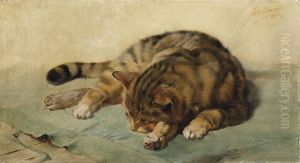 Liegende Katze by Julius Adam the Younger