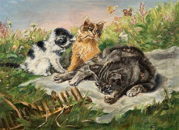 Cat Family - view 1