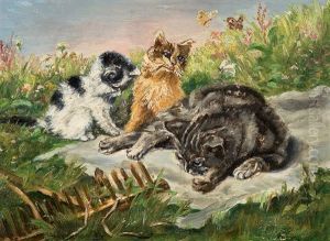 Cat Family Cat Family
