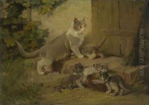 Katze Mit Ihren Jungen Vor Der Ture