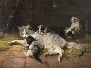 Cat Family Cat Family