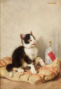 Ein Kleines Katzchen Sitzt Mit Verbundener Pfote Auf Einer Matratze