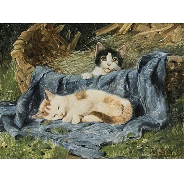 Two Kittens - view 1