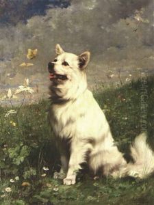 Spitz Spitz