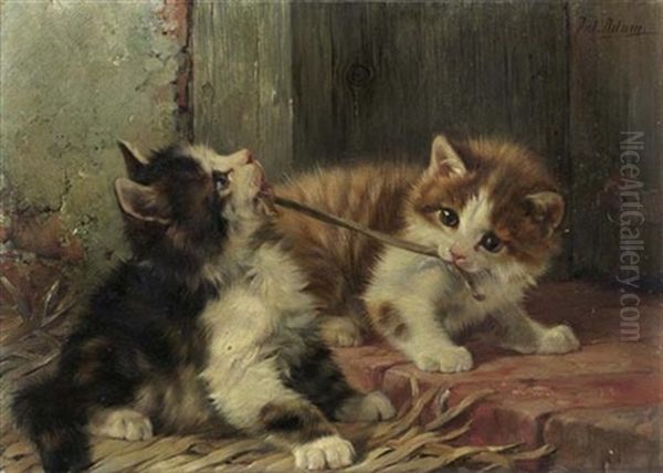 Zwei Spielende Katzen - view 1