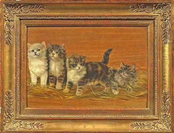 Vier Katzenkinder - view 1
