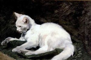 Weise Katze Auf Dunkelgrunen Teppich Weise Katze Auf Dunkelgrunen Teppich