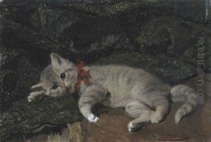 Katzchen Katzchen