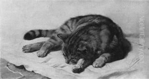 Schlafende Katze by Julius Adam the Younger