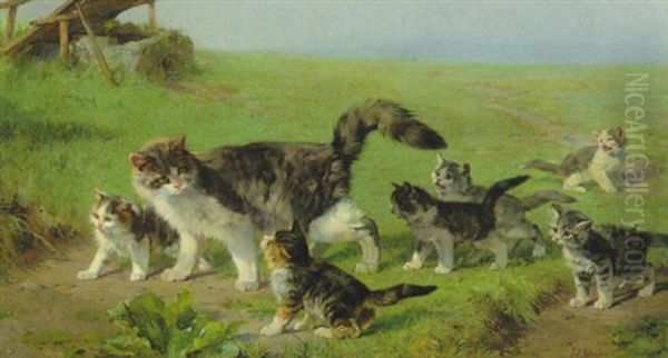 Katzenmutter Mit Jungen Auf Sommerwiese - view 1