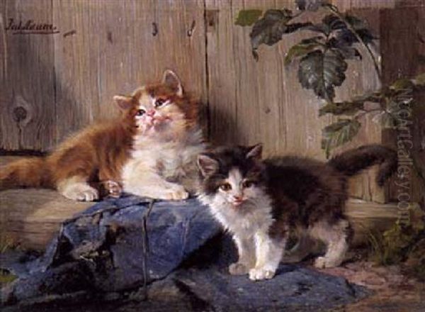 Zwei Katzchen - view 1