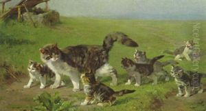 Katze Mit Sechs Jungen Auf Der Wiese Im Sonnenlicht Katze Mit Sechs Jungen Auf Der Wiese Im Sonnenlicht